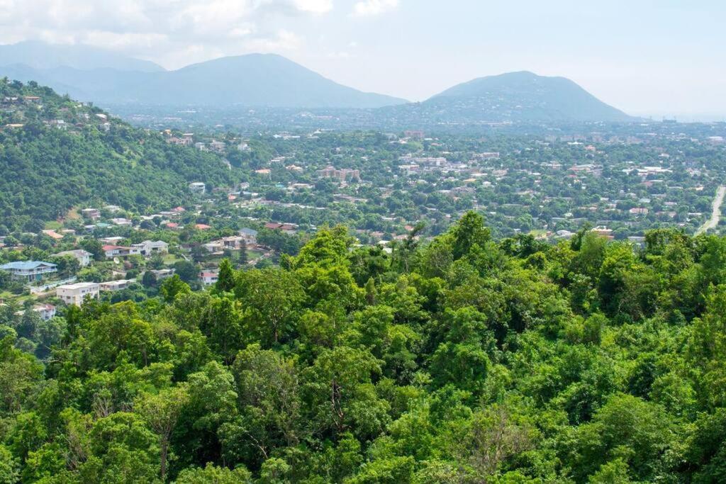 A Lovely Jamaican Get-Away كينغستون المظهر الخارجي الصورة